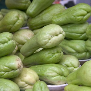 A favorite vegitable called chayote. It tastes like a combination of summer squash and apple. <a href=></a>