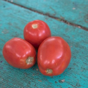 Obligatory still life photo of red tomatoes on a weathered, aguamarine table. We can't help ourselves... <a href=></a>