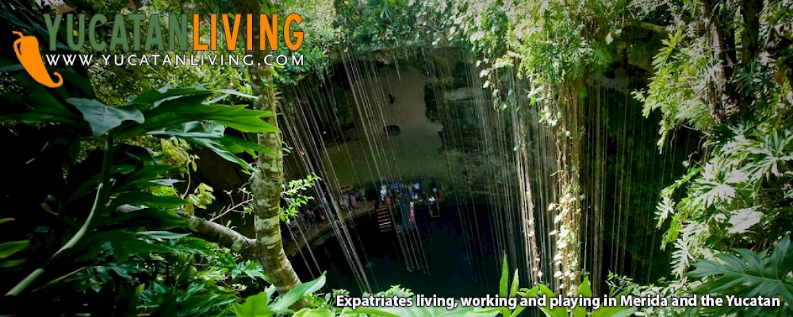 Red Bull Cenote Cliff Diving