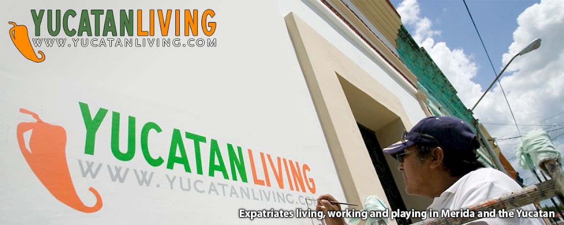 What's New at Yucatan Living