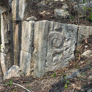 Part of the facade of a Mayan temple waiting to be reclaimed. North of the Puuc range, there are no hills in Yucatan. If you see one, it is an unrestored Mayan structure. <a href=></a>