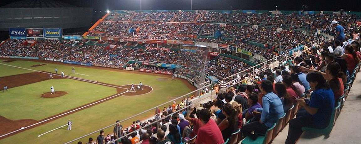 Leones Road to the 2015 Playoffs
