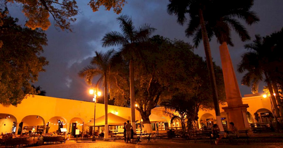 » Monkeying around Cheeky monkey swings on friends tail