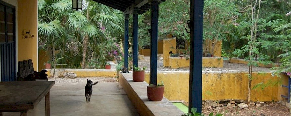 HACIENDA MASUL - RESTORED AND CLOSE TO MERIDA! (TY)