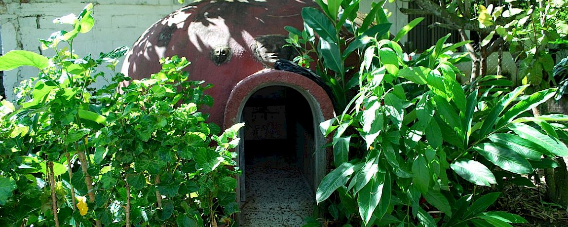 Mayan Temazcal Ceremony