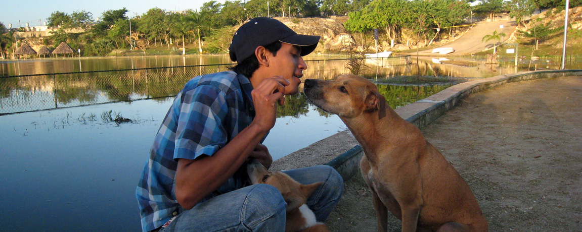 5th Annual Merida Spay 'n Neuter Clinic