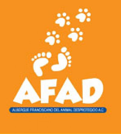 AFAD Animal Shelter in Merida <a href=></a>