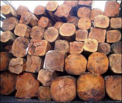 lumber <a href=></a>
