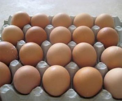 eggs <a href=></a>