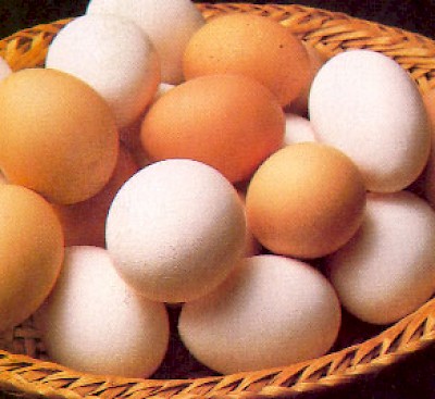 eggs <a href=></a>