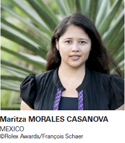 Maritza-Morales-Casanova <a href=></a>