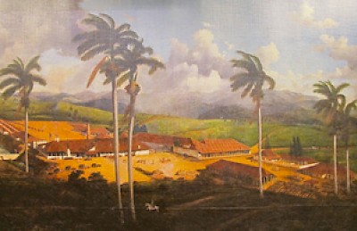 Sugar plantation in Cuba <a href=></a>