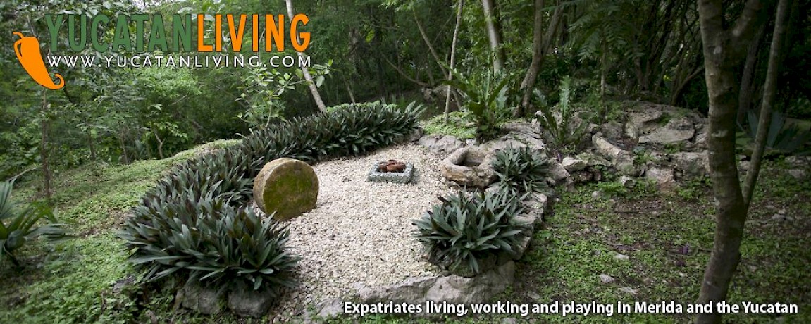 Yucatan News: Organics & Ecotourism