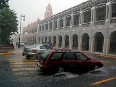 rain <a href=></a>