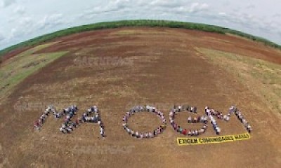 MDG : Monsanto GM soya impact on honey bees protest in Yucatan Peninsula in mexico <a href=></a>