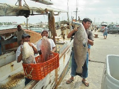 Beach Activities  in Merida Yucatan Mexico <a href=></a>