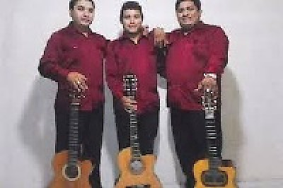 Trova trio Los Galanes in Merida Yucatan Mexico <a href=></a>