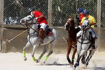 Polo Club in Yucatan Mexico <a href=></a>