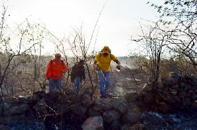 Fire Season in Yucatan Mexico <a href=></a>